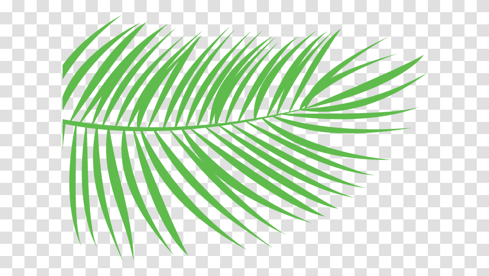 Reeds, Leaf, Plant, Green, Tree Transparent Png