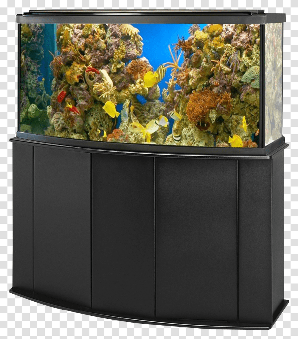 Reef Aquarium Fish Tank, Water, Sea, Outdoors, Nature Transparent Png