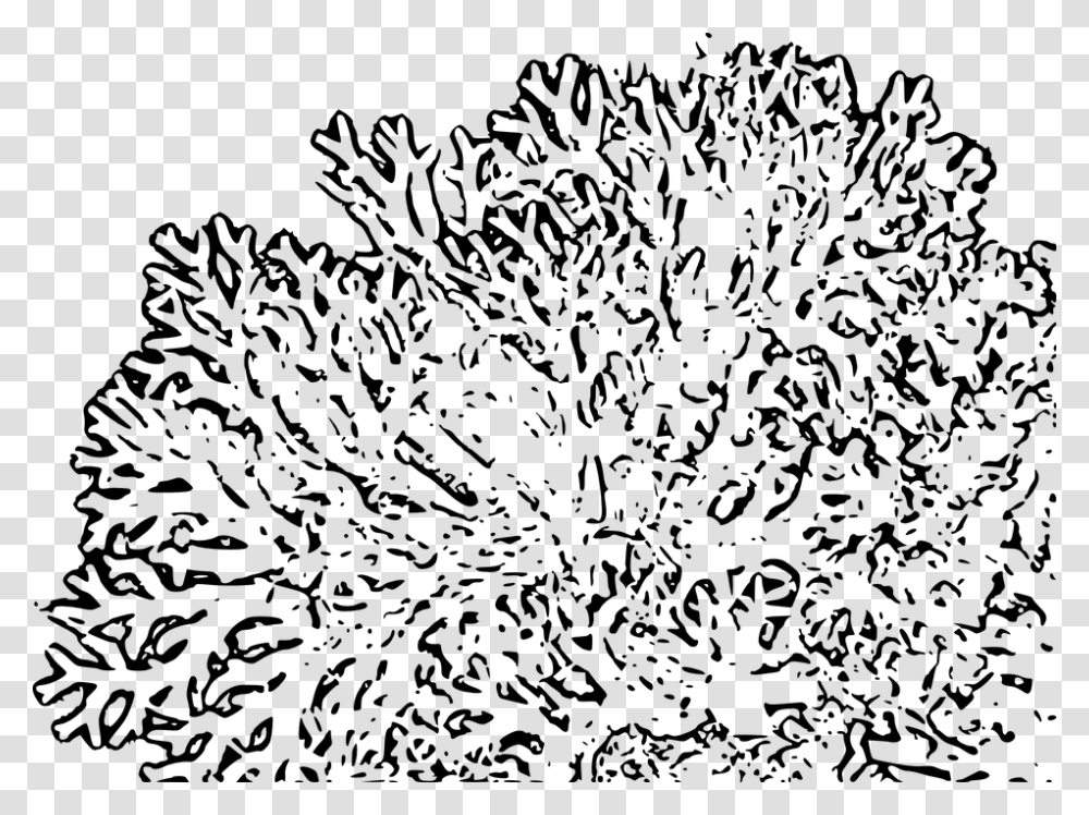 Reef Clipart Coral Reefs Black And White Clipart, Gray, World Of Warcraft Transparent Png
