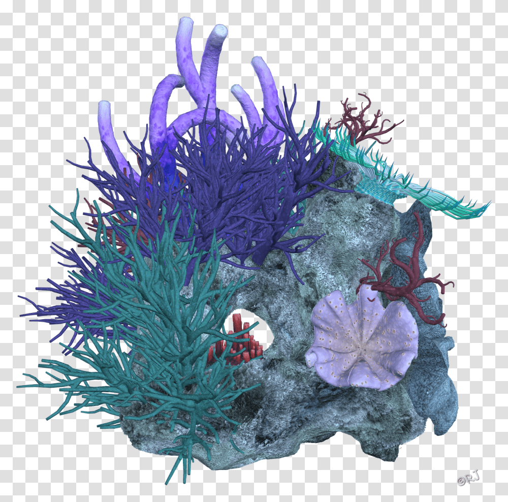 Reef Deep Sea Transprent Coral Image Background, Ornament, Sea Life, Animal, Outdoors Transparent Png