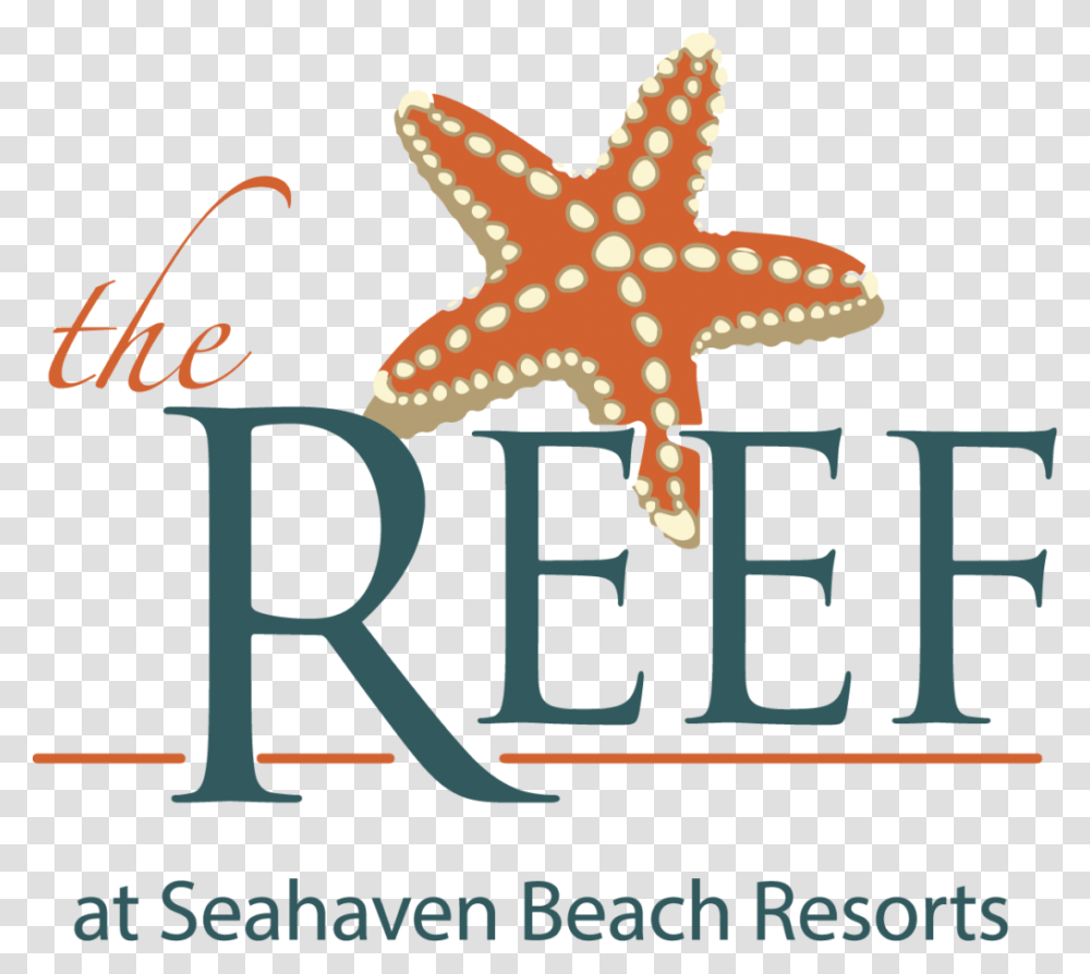 Reef Hotel Logo Outlines Starfish, Invertebrate, Sea Life, Animal Transparent Png
