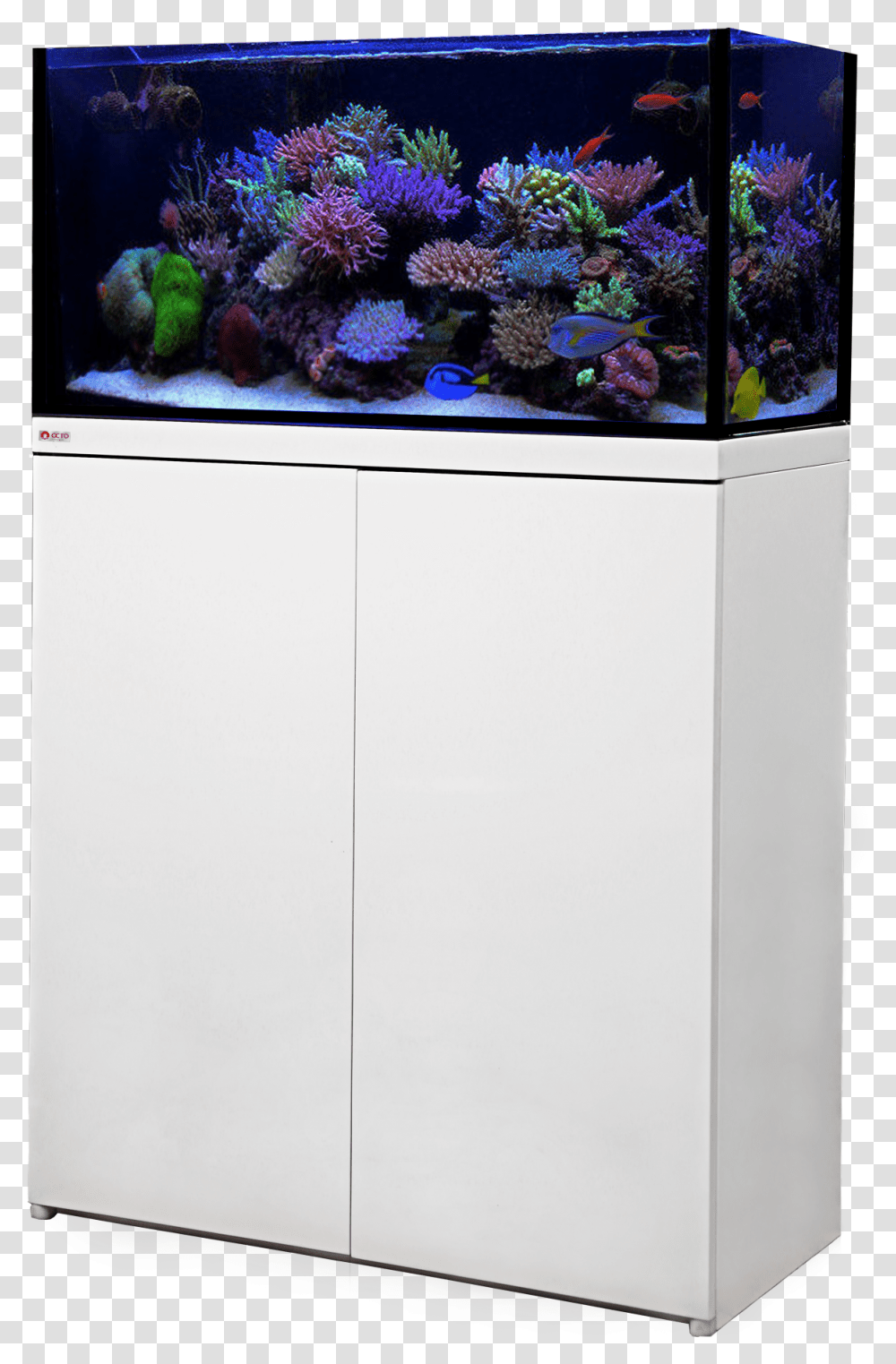 Reef Octopus Fish Tank, Water, Refrigerator, Appliance, Animal Transparent Png