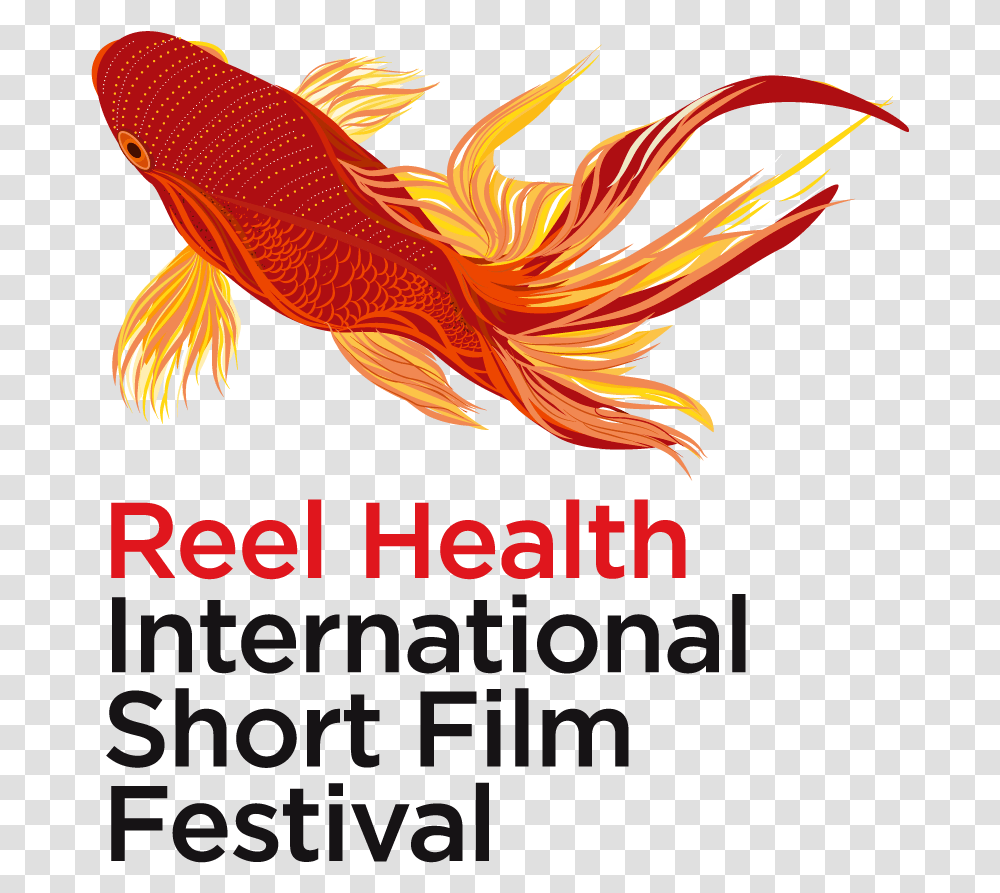 Reel Health International Short Film Festival Goldfish, Bird, Animal, Fire Transparent Png