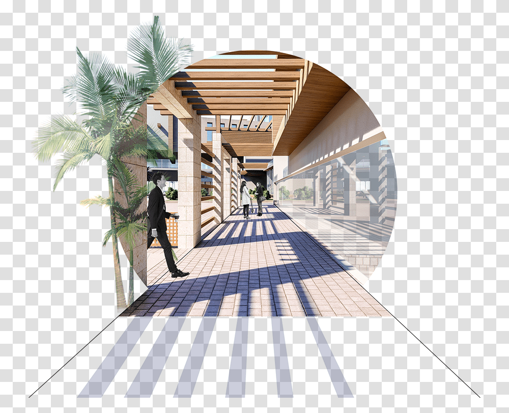 Ref Ideas In 2021 Palm Trees, Person, Human, Porch, Patio Transparent Png