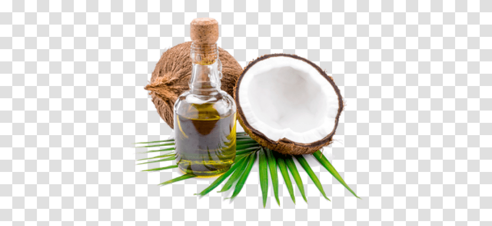 Refined Coconut Oil Coconut Oil Images, Plant, Vegetable, Food, Fruit Transparent Png