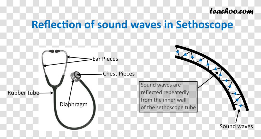 Reflection Of Sound Waves In Sethoscope Stethoscope Reflection Of Sound, Plot, Diagram Transparent Png