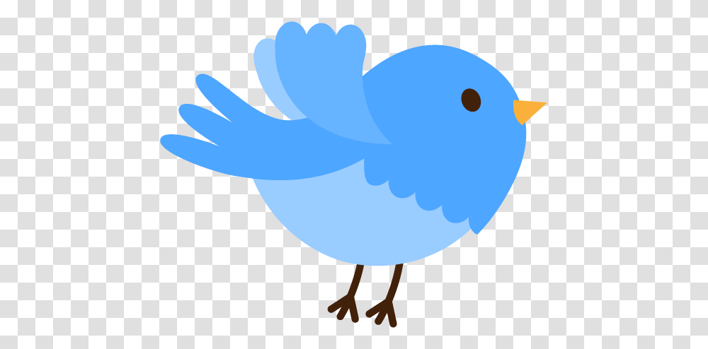 Register From Nest To Wings, Bird, Animal, Bluebird, Jay Transparent Png