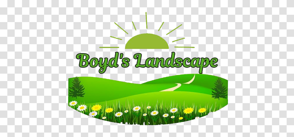 Regular Lawn Services, Grass, Plant, Green, Vegetation Transparent Png