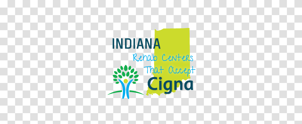 Rehab Centers That Accept Cigna Insurance In Indiana, Plant, Vegetation, Bush Transparent Png