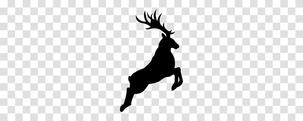 Reindeer Animals, Gray, World Of Warcraft Transparent Png