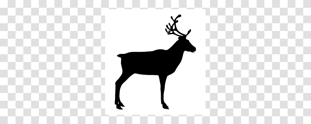 Reindeer Antelope, Wildlife, Mammal, Animal Transparent Png