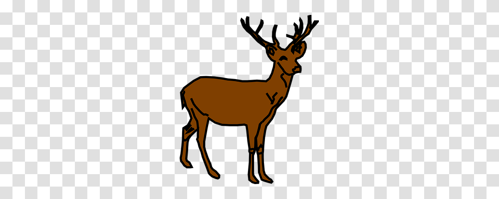 Reindeer Nature, Wildlife, Mammal, Animal Transparent Png