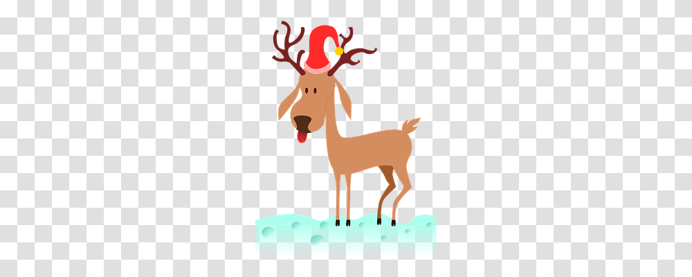 Reindeer Religion, Mammal, Animal, Wildlife Transparent Png