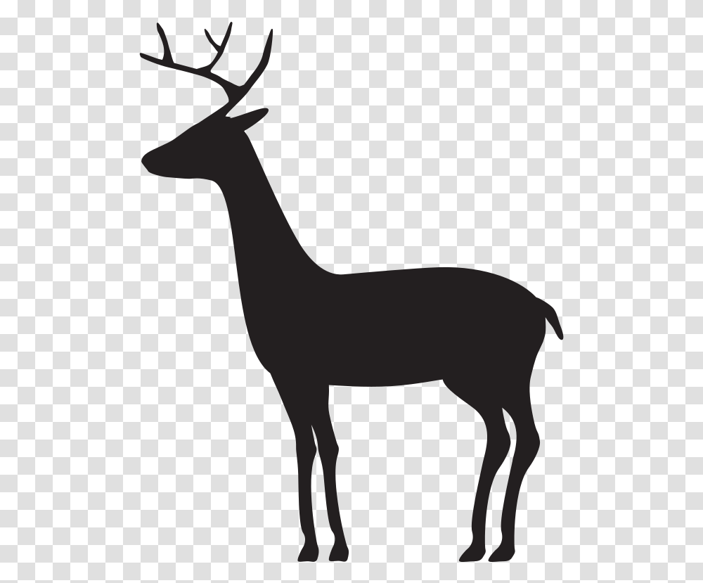 Reindeer, Animal, Mammal, Wildlife, Antelope Transparent Png