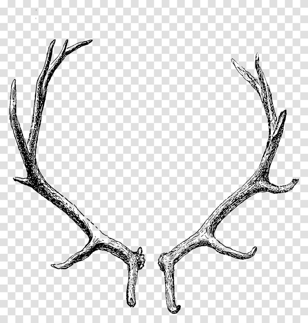 Reindeer Antler Horn Clip Art Antler, Outdoors, Nature, Astronomy, Outer Space Transparent Png