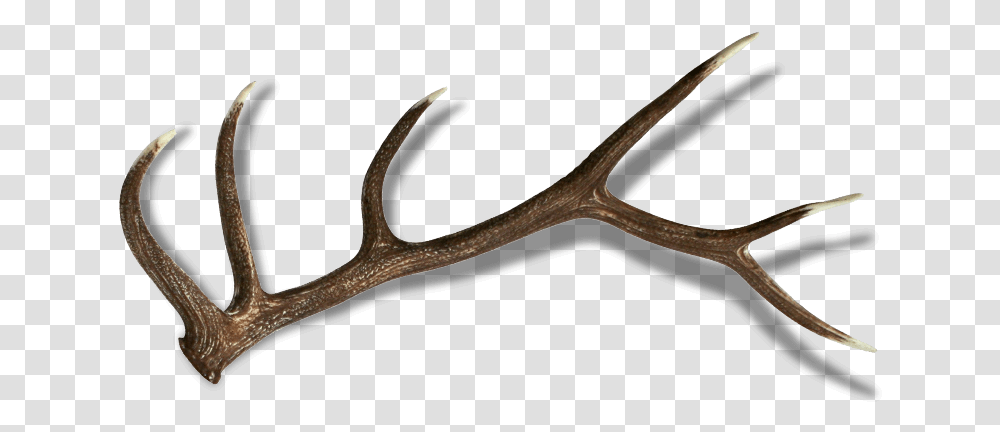 Reindeer, Antler, Scissors, Blade, Weapon Transparent Png