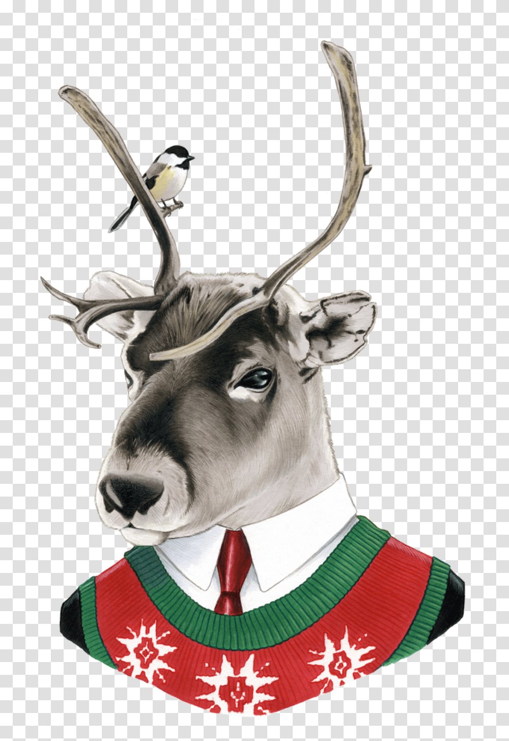 Reindeer By Berkley Illustration From Tattly Temporary Tattoos Clip Art, Antler, Antelope, Wildlife, Mammal Transparent Png