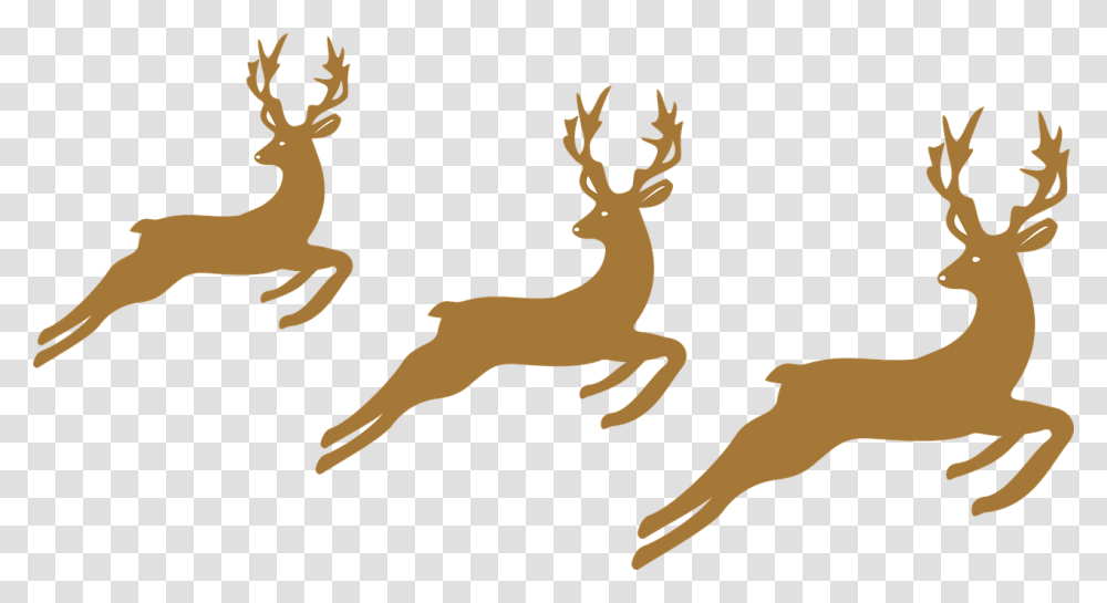 Reindeer Christmas Horns Free Picture Rennes De Noel, Wildlife, Animal, Mammal, Elk Transparent Png