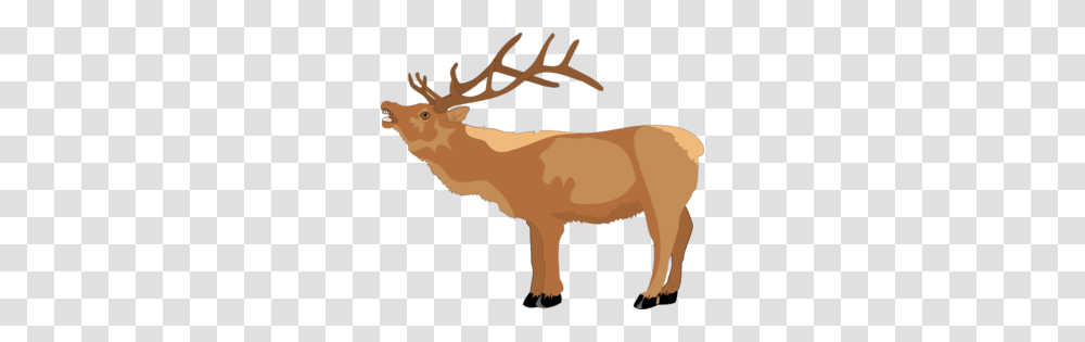 Reindeer Clip Art, Elk, Wildlife, Mammal, Animal Transparent Png