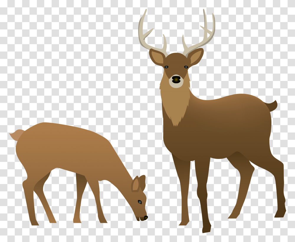 Reindeer Clip Art, Wildlife, Mammal, Animal, Elk Transparent Png