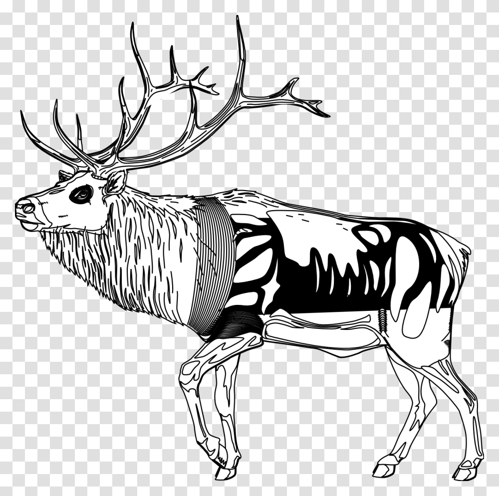 Reindeer Clipart Black And White Reindeer Cartoon Black And White, Elk, Wildlife, Mammal, Animal Transparent Png