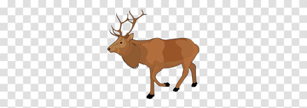 Reindeer Clipart, Elk, Wildlife, Mammal, Animal Transparent Png