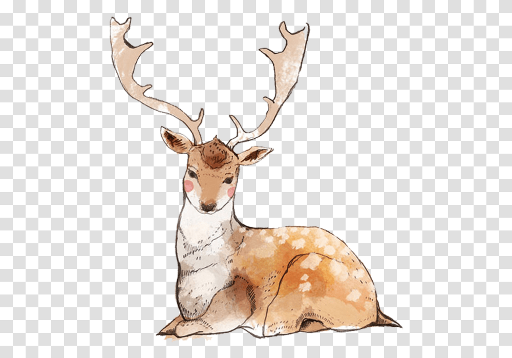 Reindeer Deer Painting Elk Wildlife For Christmas 1890x2024 Caribou, Antelope, Mammal, Animal, Antler Transparent Png