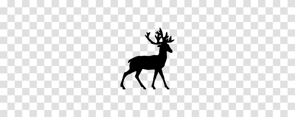Reindeer Drawing Moose Antler, Gray, World Of Warcraft Transparent Png