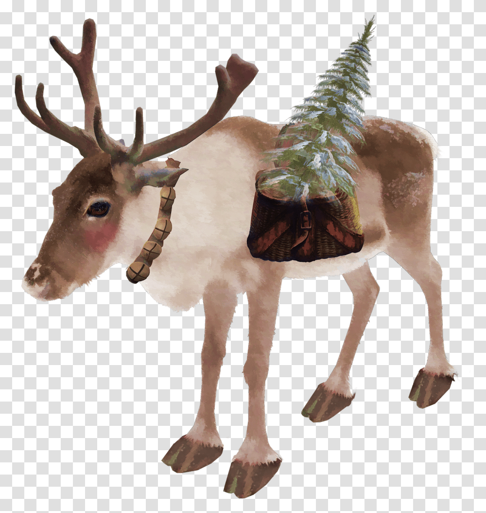 Reindeer, Elk, Wildlife, Mammal, Animal Transparent Png