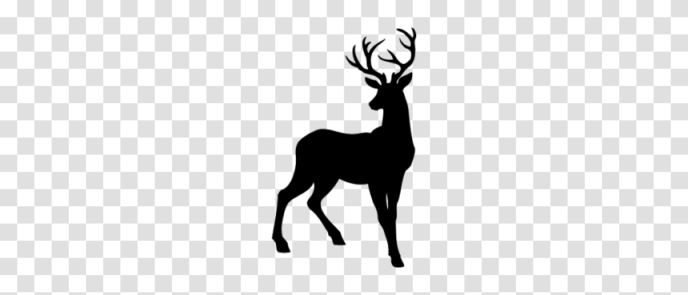 Reindeer, Holiday, Antelope, Wildlife, Mammal Transparent Png