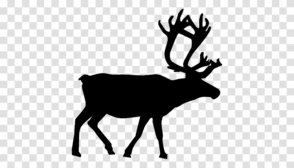 Reindeer, Holiday, Gray, World Of Warcraft Transparent Png