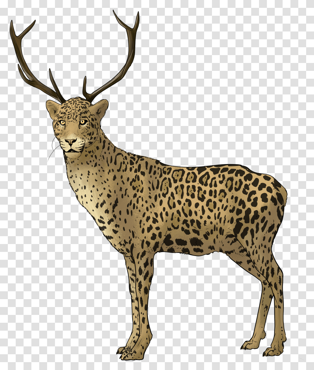 Reindeer Image Antler, Antelope, Wildlife, Mammal, Animal Transparent Png