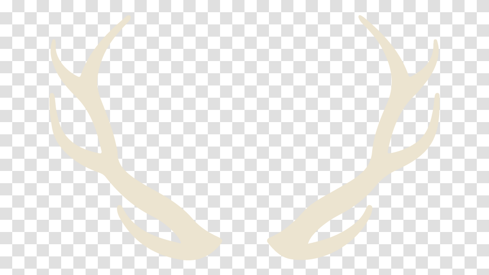 Reindeer, Label, Bird, Animal Transparent Png