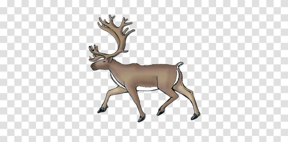 Reindeer, Mammal, Animal, Wildlife, Antelope Transparent Png