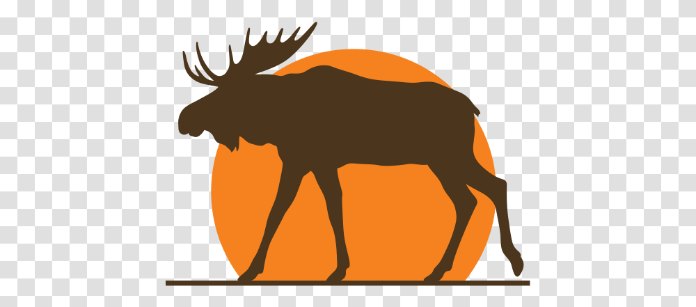 Reindeer, Mammal, Animal, Wildlife, Moose Transparent Png