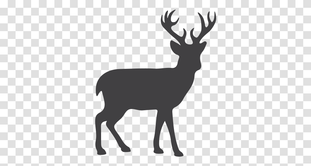 Reindeer Moose Silhouette Clip Art Dusit Zoo, Wildlife, Mammal, Animal, Stencil Transparent Png