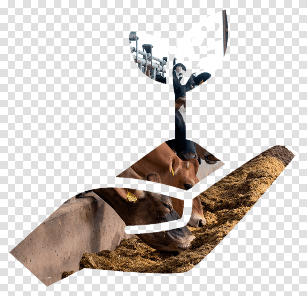 Reindeer, Person, Furniture, Axe Transparent Png
