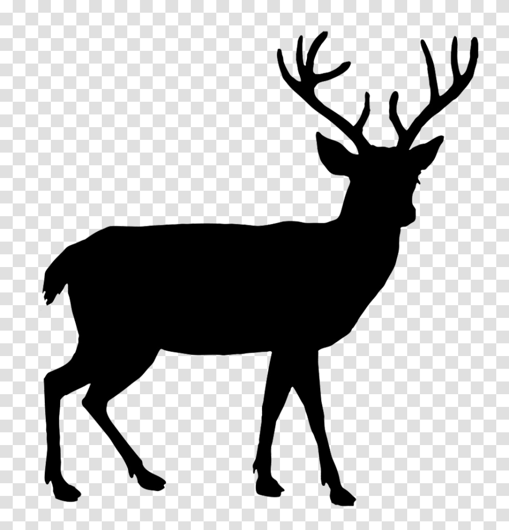 Reindeer Silhouette Cliparts, Wildlife, Mammal, Animal, Antelope Transparent Png