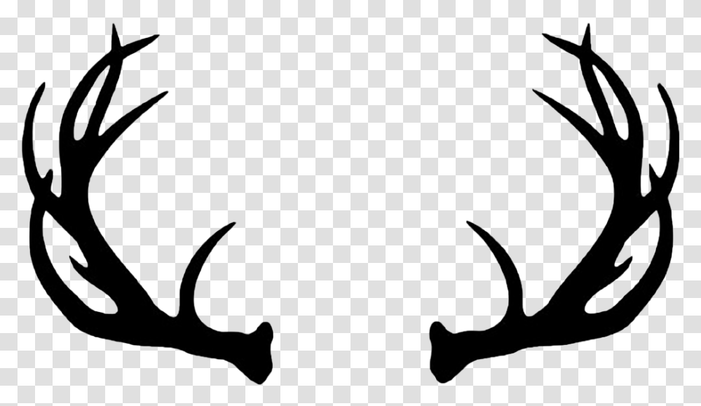 Reindeer White Tailed Deer Moose Elk Happy Birthday Deer Antlers, Label, Stencil, Silhouette Transparent Png
