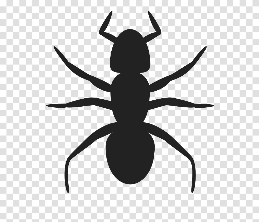 Rejon Ant Icon, Animals, Cross, Invertebrate Transparent Png