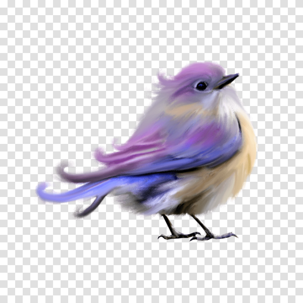 Related Image Cheryls Clipart Arte, Bluebird, Animal, Jay, Blue Jay Transparent Png