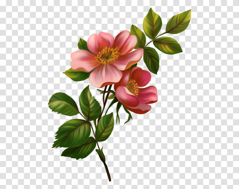 Related Image Flowers In Flowers, Plant, Dahlia, Petal, Anther Transparent Png