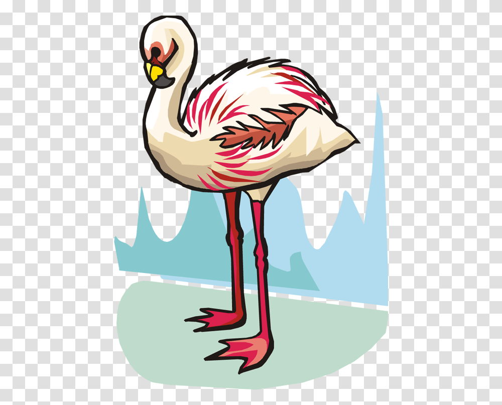 Related Pictures Funny Flamingo Bird Clipart Graphic Clip Art, Animal Transparent Png