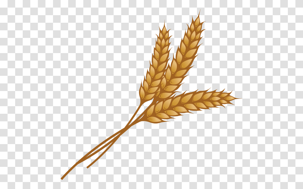 Relief Society Logo Clip Art, Plant, Vegetable, Food, Wheat Transparent Png