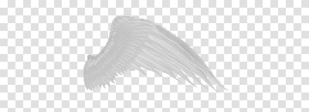 Religion, Animal, Bird, Flying Transparent Png