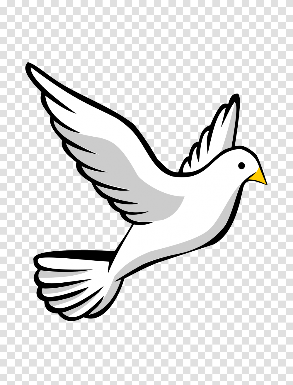 Religious Dove Clip Art Confirmation Sponsor Clip, Bird, Animal, Flying, Sea Life Transparent Png