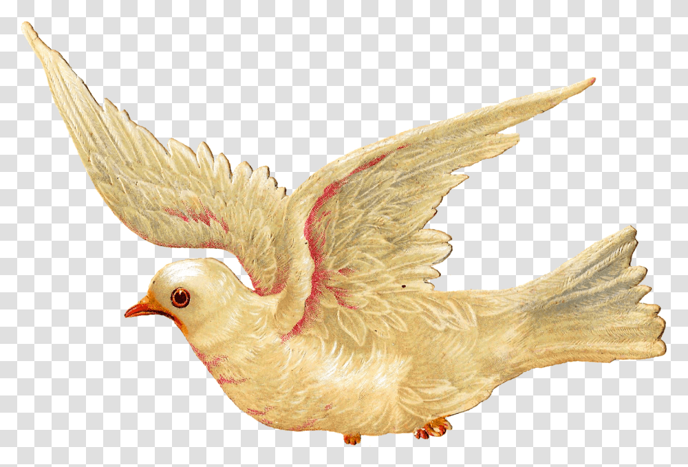 Religious Easter Clipart Interesting Inspiration Vintage Bird Illustrations Flying, Animal, Chicken, Poultry, Fowl Transparent Png