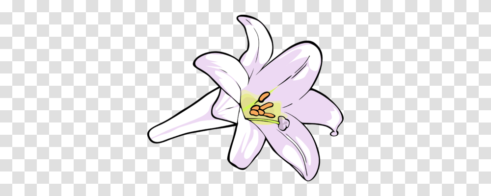 Religious Easter Clipart, Plant, Lily, Flower, Blossom Transparent Png