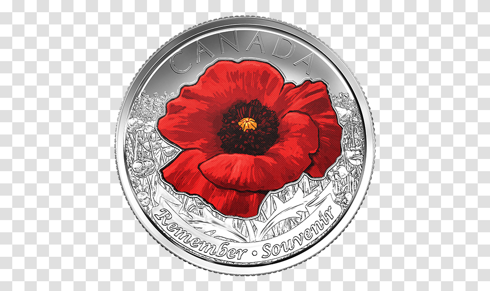 Remembrance Coin Pack 25 Cents Canada 2015, Plant, Flower, Blossom, Poppy Transparent Png