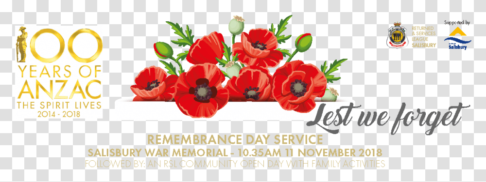 Remembrance Day Discover Salisbury Banner Remembrance Day 11th November Images Australia, Plant, Flower, Blossom, Petal Transparent Png